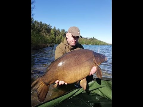 Ale Karp Fishing Team odc. 2/2020 - Łowisko Wygonin stanowisko nr.11 - 05.2020 r.