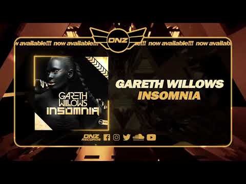 DNZF1450 // GARETH WILLOWS - INSOMNIA (Official Video DNZ Records)