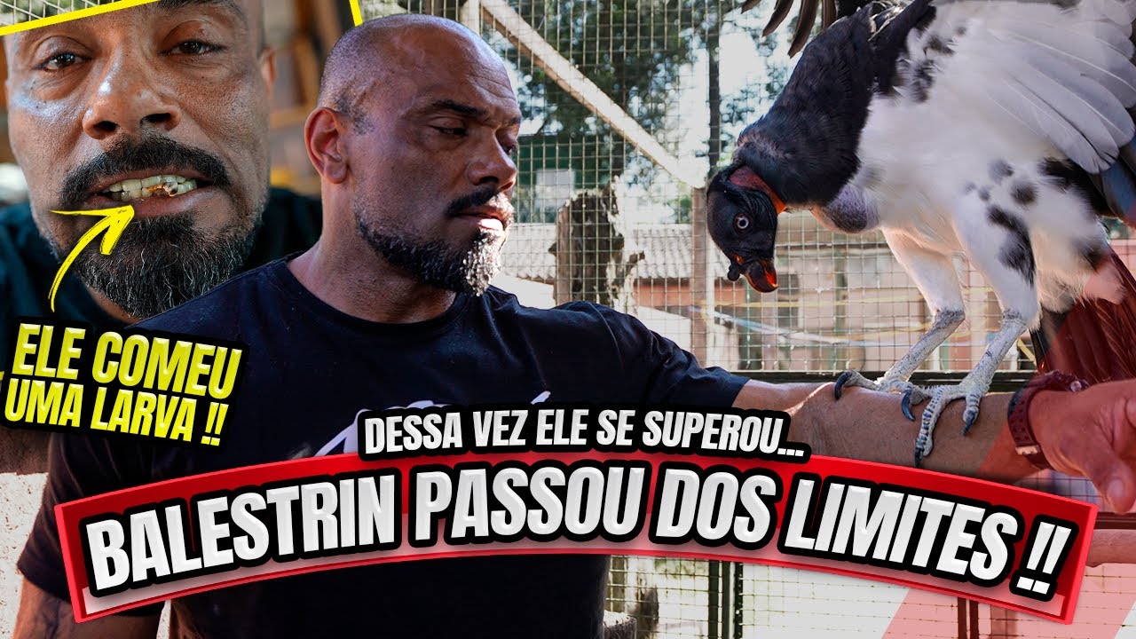 BALESTRIN PASSOU DOS LIMITES - RICHARD FEZ ELE COMER OUTRA LARVA !!