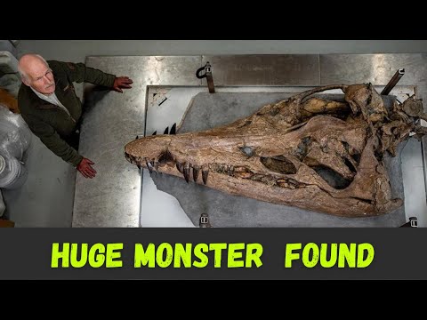 Pliosaur discovery: Huge sea monster emerges from Dorset cliffs