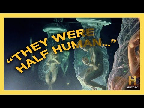 Are the Greys Already Among Us? Alien Hybrids & Robots Revealed | Ancient Aliens