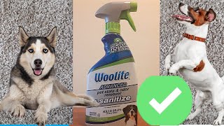 Woolite Advanced Pet Stain & Odor Remover + Sanitize Review