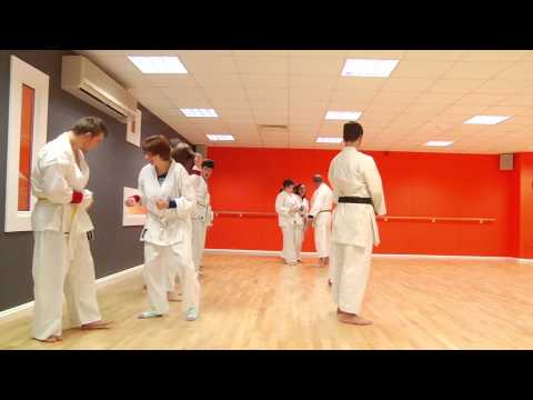 Disability Karate and Inclusion