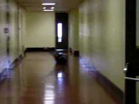 freaky hallway