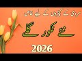 Latest Neck Designs For Winter 2026 L Galay Ke New Designs 2026 Neck Design 2026