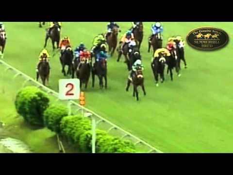 WEST COAST SWING (AUS) : 2009 READY TO RUN GRADUATE