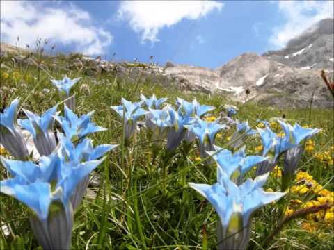 6 7 14   M te Prena   Prove di ascensione   mpeg2video