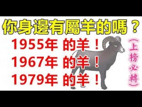 1955年 生肖