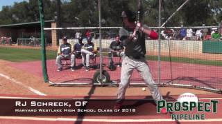 RJ Schreck Prospect Video, OF, Harvard Westlake High School Class of 2018