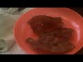 My Christmas 2025 Video 5 Bacon
