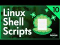 Shell Scripts | Linux for Programmers #10