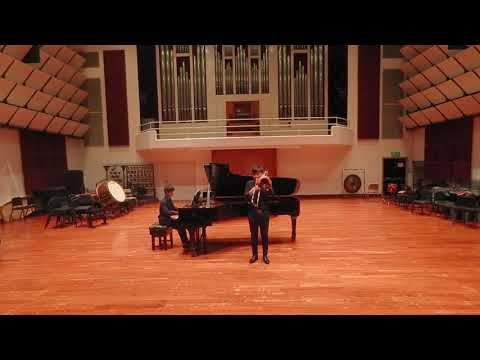 Lebedev: Concert Allegro