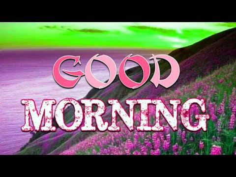 good morning Status video whatsapp