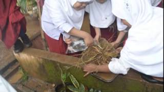 PENGARUH AKAR  terhadap Erosi Tanah 4B