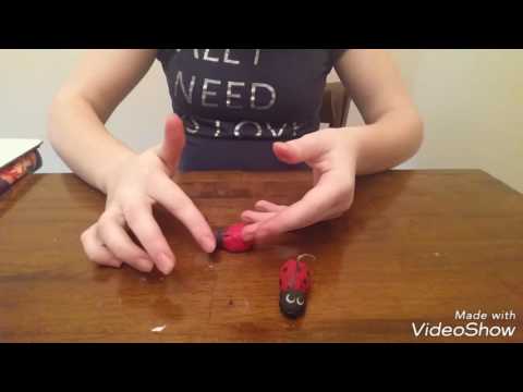 How To Make a Clay Ladybug Magnet