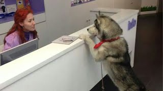 Miniature vidéo