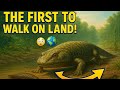 The First Creatures To Walk On Land Before Dinosaurs Episode 4 BeforeDinosaurs Tiktaalik