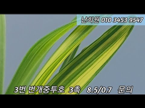 유튜브 썸네일