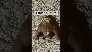 Me and my monkey still popular in the big 26?