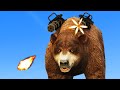 Bear 6