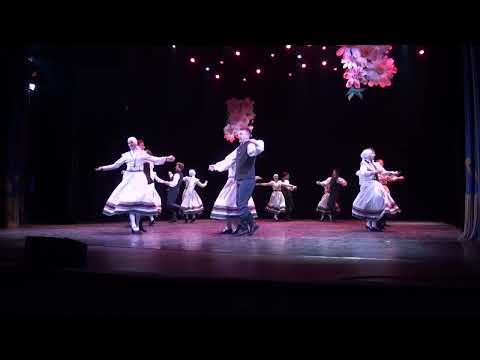 TDK “Zalktis” koncertā  AIZ VEF KP 21.02.2026