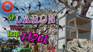 Download lagu SP LARON MiX INAP JADUL | ORIGINAL SOUND mp3 Download lagu SP LARON MiX INAP JADUL | ORIGINAL SOUND mp3