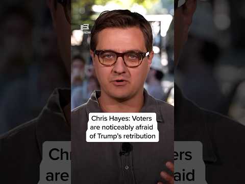Chris Hayes: Voters are noticeably afraid of Trump's retribution