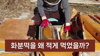 화분떡을 적게 먹은 원인은?