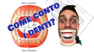 Contare i denti