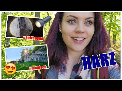 🌲 Wohin des Weges #32 - Knollenkreuz - Einhornhöhle - Ruine Scharzfels [HARZ]