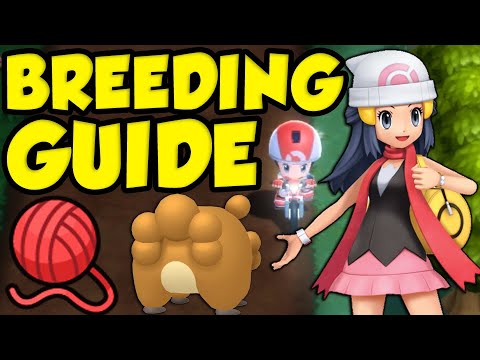 POKEMON BDSP BREEDING GUIDE! Best Breeding Guide For Pokemon Brilliant Diamond and Shining Pearl!