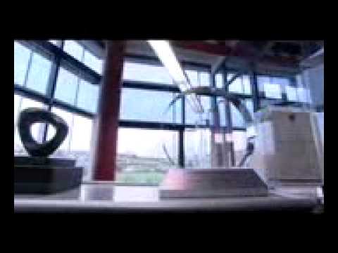 Millionär in Gummistiefeln, mit tegut... an die Weltspitze 1/3