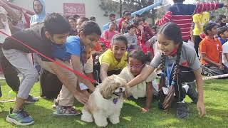 Pet Show at Silver Oaks School