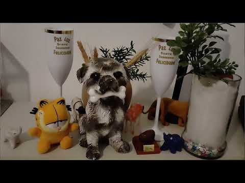 Palpites Sônia Santos p JB/31/01/26. Sábado.