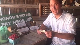 Make Money from Your Garden by Having an Honor System Farm Stand