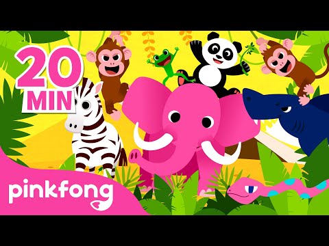 Le Canzoni degli Animali｜+Compilation｜Baby Shark Italiano｜Pinkfong! Canzoni per Bambini