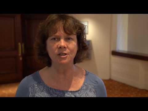 ICSE 2018 interviews