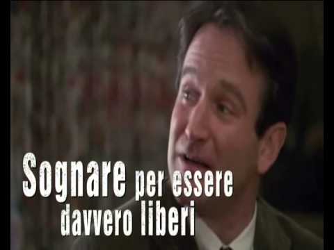 Che candeggiare posti di pigmentary su una fronte Sbatta fino a rendere cremoso lagarico di mosca che si schiarisce contro posti di pigmentary contro