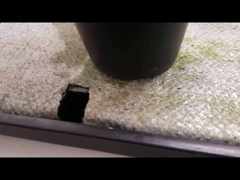 Bevattningsbricka - Hemmaodlat