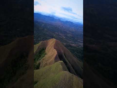 Los Picachos de Ola Coclé