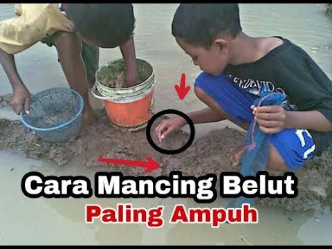 com yang gemar memancing apa saja termasuk belut yang ada di sawah atau di pinggiran sunga Cara Mancing Belut Paling Ampuh 98% Berhasil Disertai Videonya