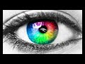 Copyright RISE DEFENSE SYSTEMS LLC 2025 All RIGHTS RESERVED