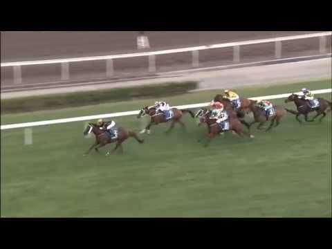 [Stewards’ Cup 2015] ABLE FRIEND won the Stewards’ Cup 2015