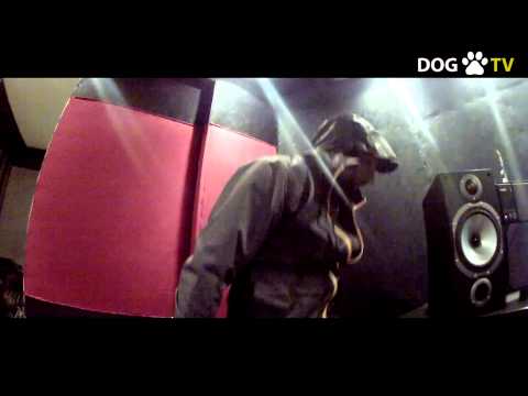 VOKE 93 FU CREW - GLUMITE official DOG.TV