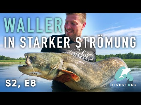 S2E8 - Starkstrom - FISHSTONE's Angelwelten