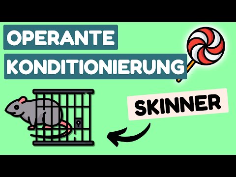 Operante Konditionierung nach Skinner | Lernen durch Verstärkung