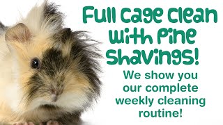 How to CLEAN a Guinea Pig CAGE with Pine Bedding | Full CAGE CLEAN for 5 Piggies!