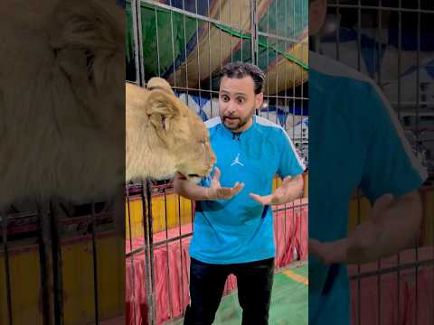 حرامي سرق اللحمة😱