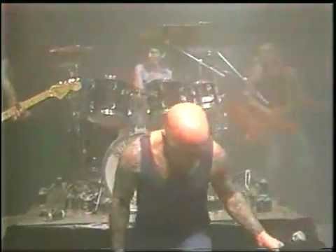 Rose Tattoo - Scarred For Life