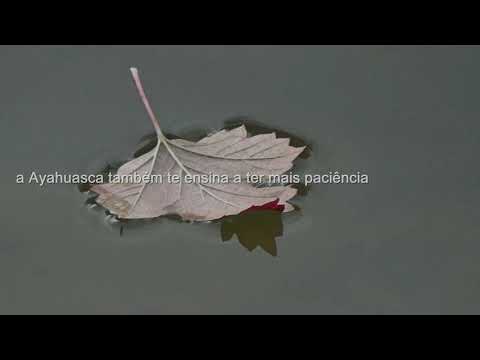 Os Super Poderes da Ayahuasca - A Medicina da Floresta - livro Ayahuasca o Chá Sagrado (Santo Daime)